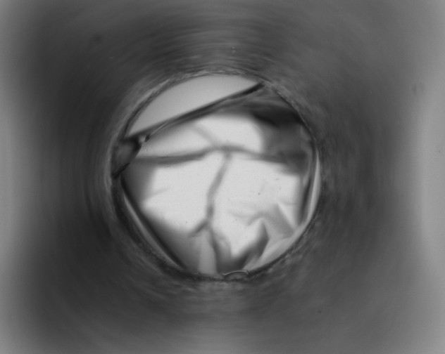 X0000094930242200712271558