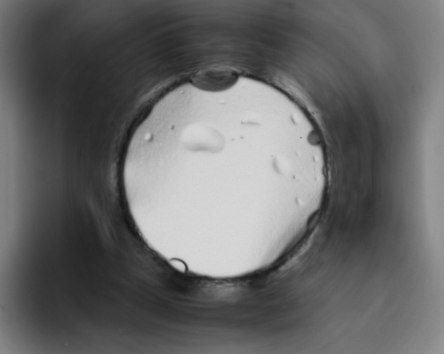 X0000094930249200712271558