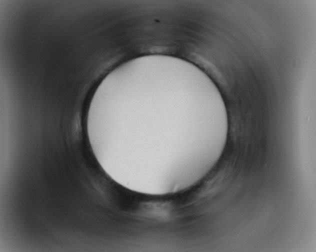 X0000094930251200712271558