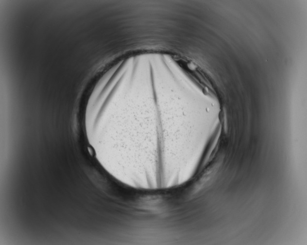 X0000094930252200712271558