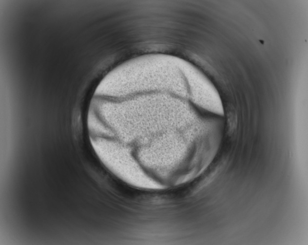 X0000094930254200712271558