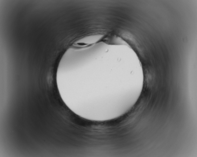 X0000094930259200712271558