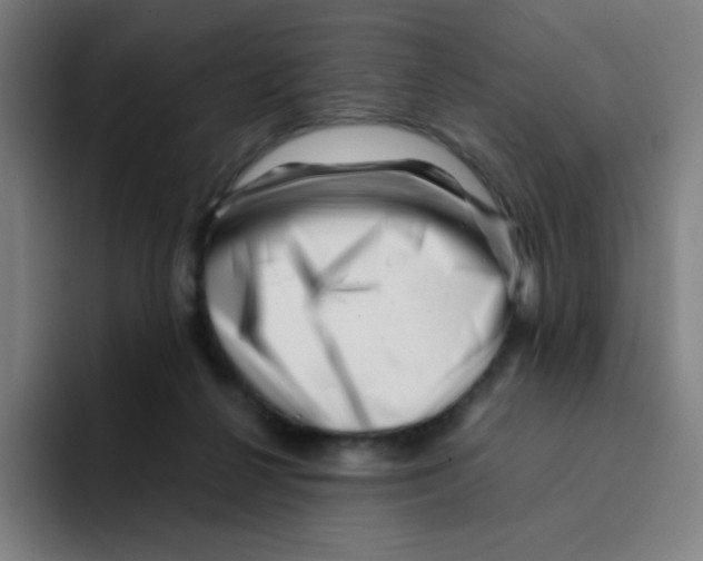 X0000094930264200712271558