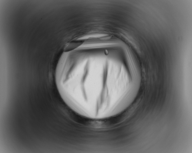 X0000094930265200712271558