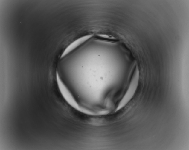 X0000094930272200712271559