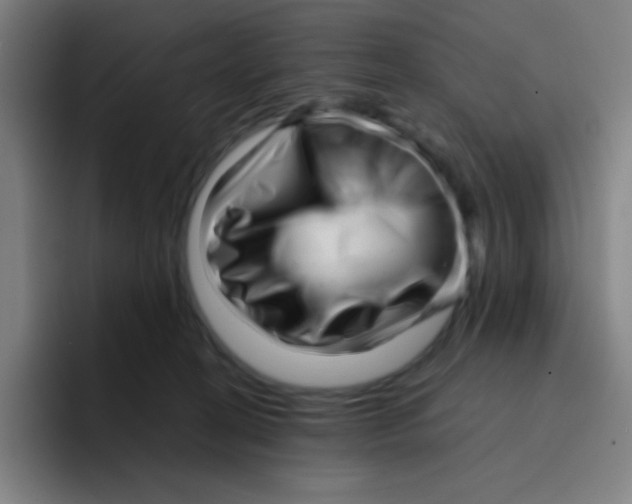 X0000094930274200712271559