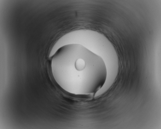 X0000094930276200712271559