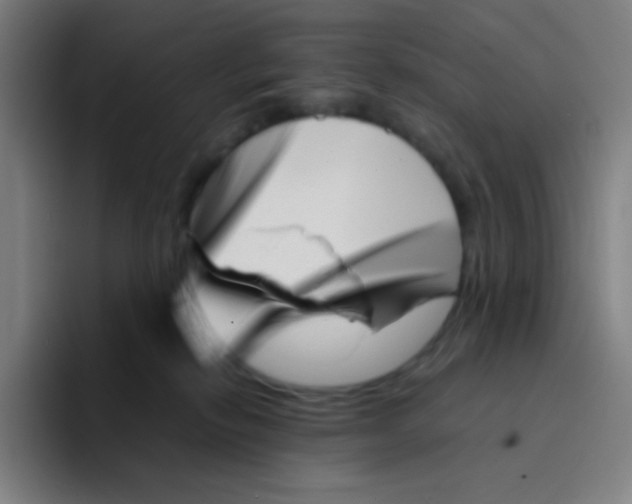 X0000094930278200712271559