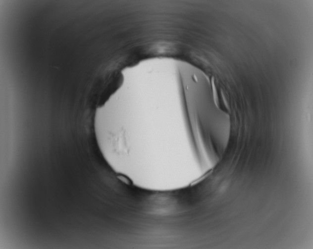 X0000094930280200712271559