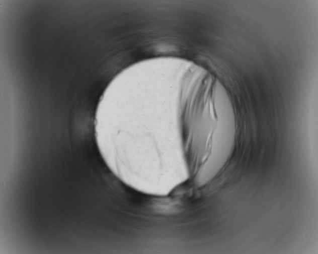 X0000094930281200712271559