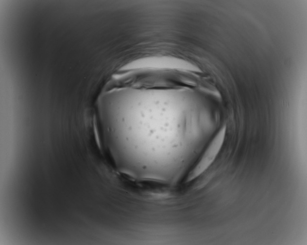 X0000094930284200712271559
