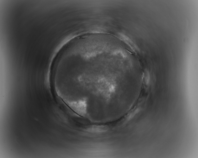 X0000094930292200712271558