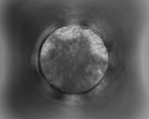 X0000094930293200712271558