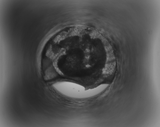 X0000094930295200712271558