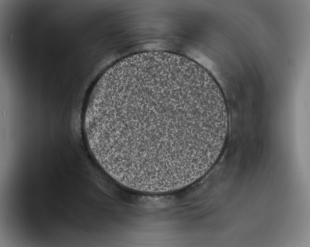 X0000094930297200712271558