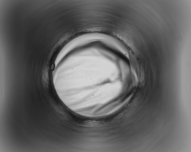 X0000094930300200712271558