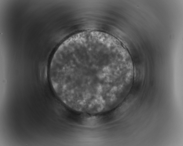 X0000094930301200712271558