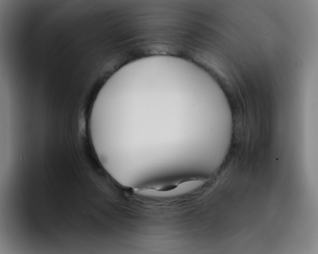 X0000094930310200712271558