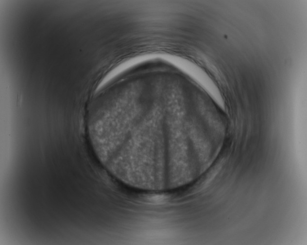 X0000094930313200712271558