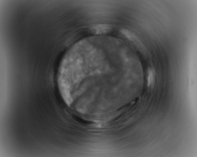 X0000094930316200712271558