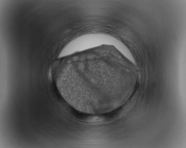X0000094930319200712271558