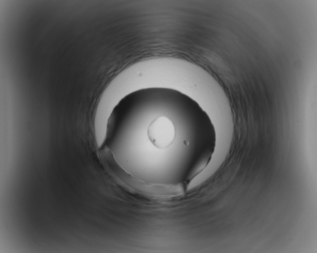 X0000094930320200712271558