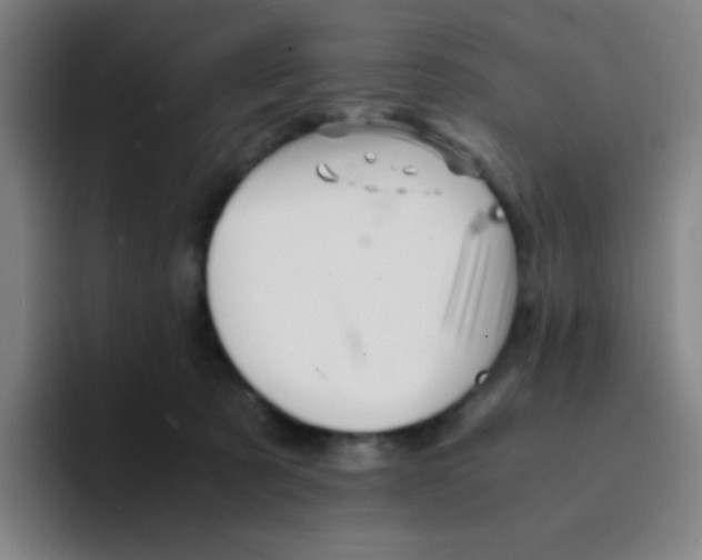 X0000094930321200712271558
