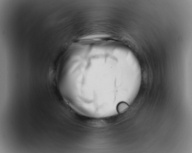 X0000094930322200712271558