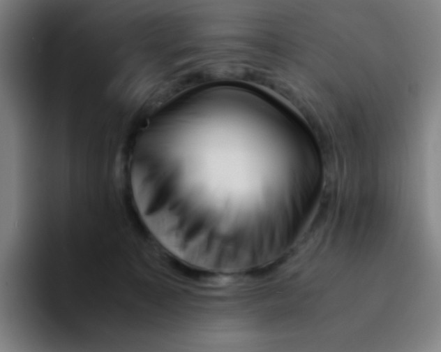 X0000094930323200712271558
