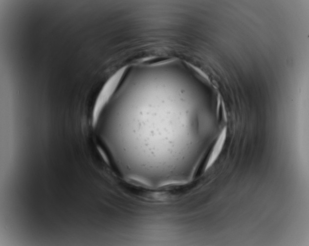 X0000094930324200712271558