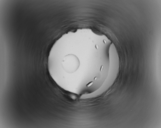 X0000094930329200712271558