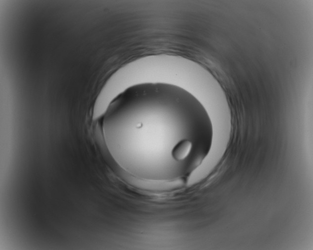 X0000094930333200712271558