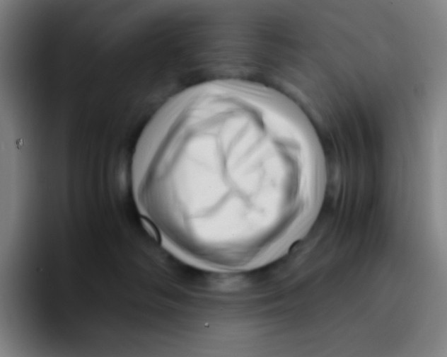 X0000094930334200712271558