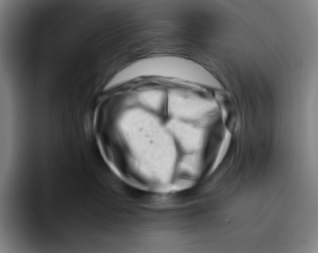 X0000094930335200712271558