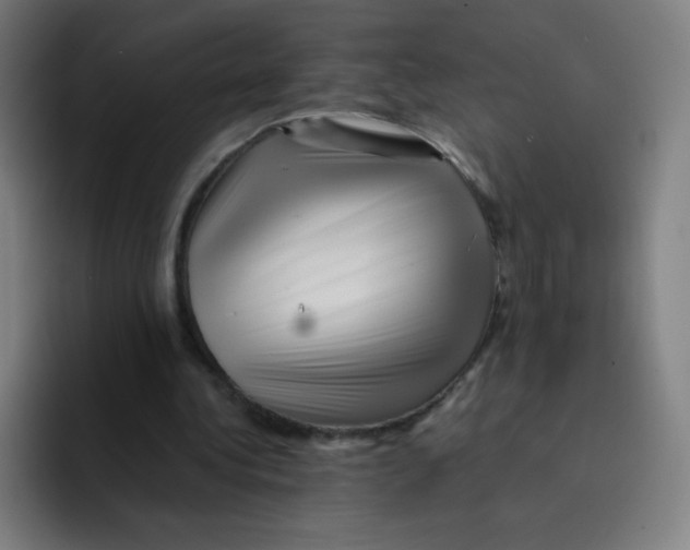 X0000094930340200712271557