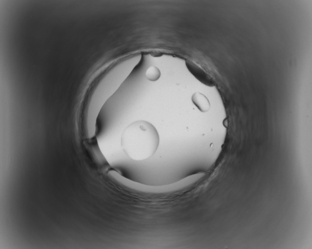 X0000094930344200712271557