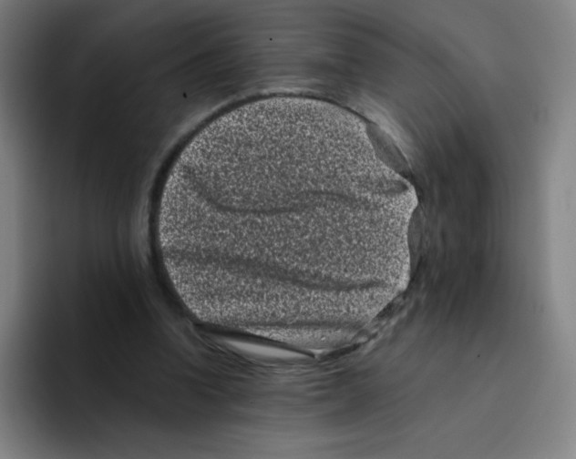 X0000094930346200712271557