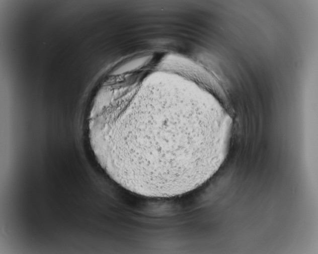 X0000094930351200712271557