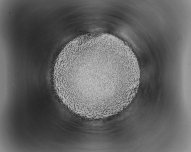 X0000094930353200712271557