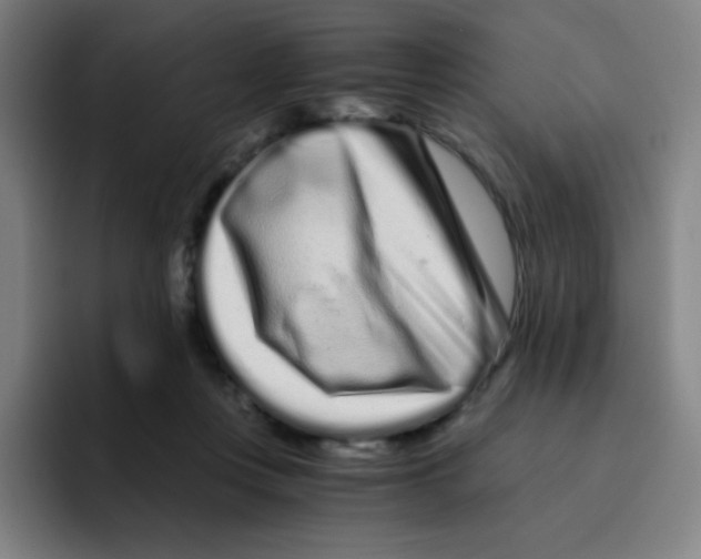 X0000094930359200712271557
