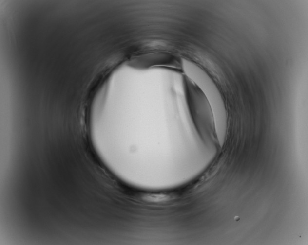 X0000094930361200712271557