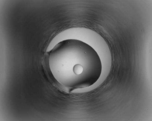 X0000094930368200712271557