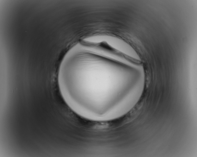 X0000094930369200712271557