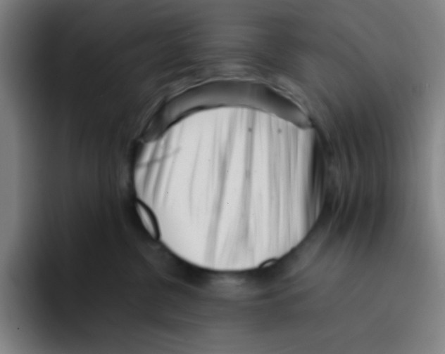 X0000094930380200712271557