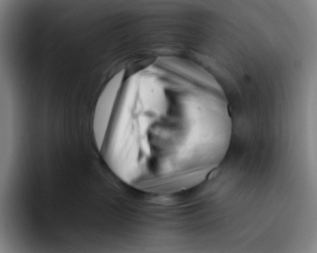 X0000094930383200712271557