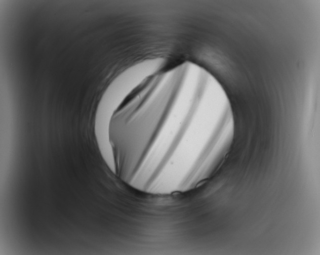 X0000094930384200712271557