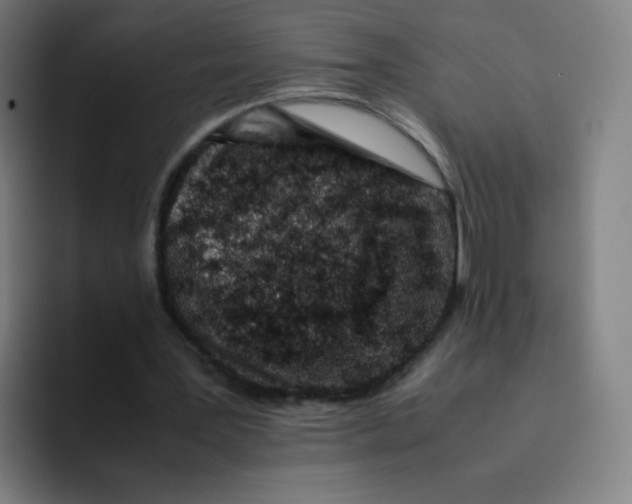 X0000094930387200712271557