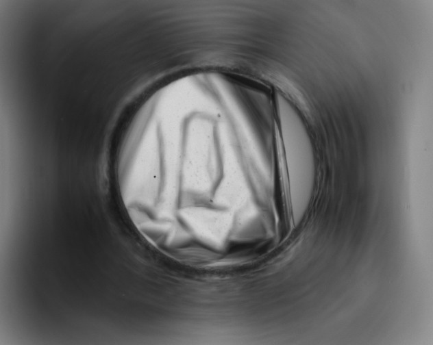 X0000094930388200712271557
