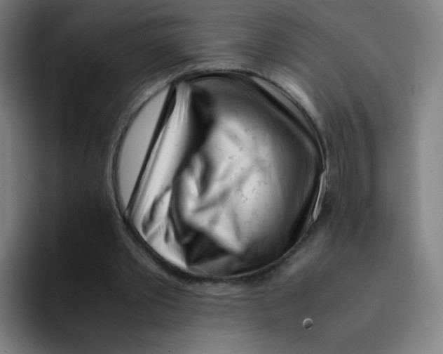 X0000094930389200712271557