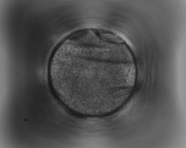 X0000094930391200712271557